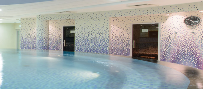 Wellness 5